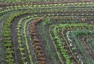 Spring Farm NSWorganic-gardening-10.jpg; ?>